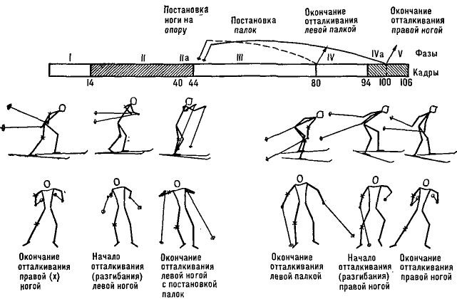 Какой лыжный ход изображен на рисунке