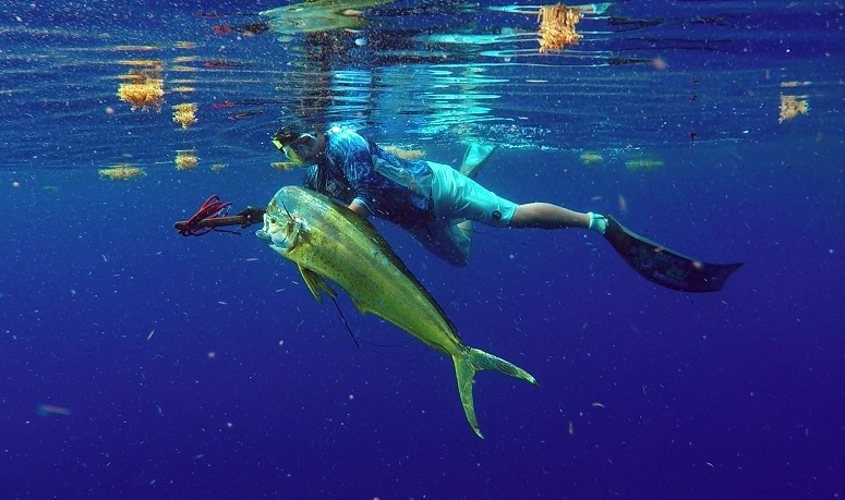 Saltwater Spearfishing