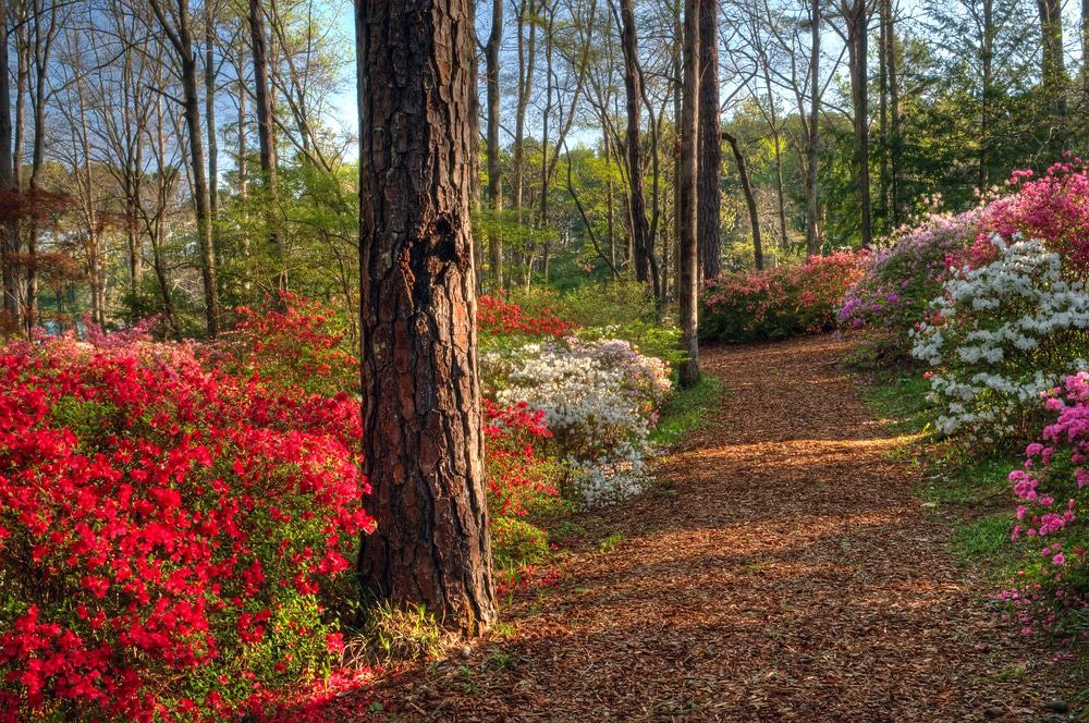 Callaway Gardens, Georgia