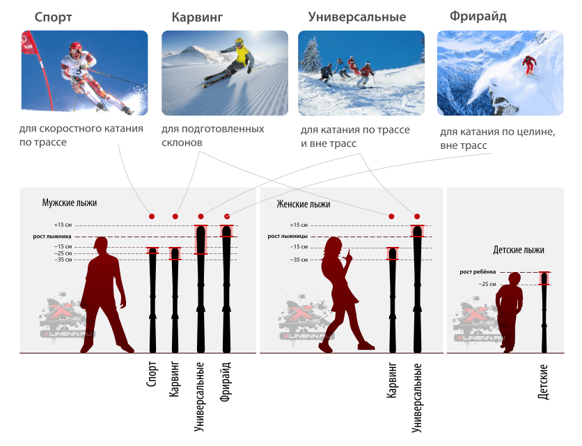Виды катания на лыжах и схема их правильного подбора для мужчин, жещин и детей
