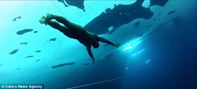 Stig Severinsen - nicknamed The Man Who Doesnt Breathe -swims fearlessly alongside other ocean dwellers