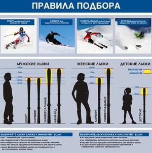 Размеры сноубордов по размерам